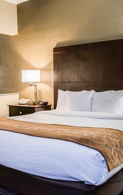 Hotelli Comfort Suites Clearwater - Dunedin (Clearwater, Amerikan Yhdysvallat)