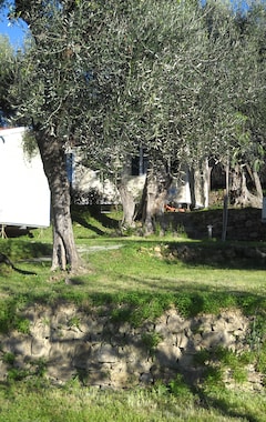 Camping Camper Village (Santo Stefano al Mare, Italia)