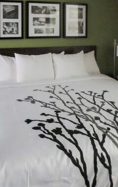 Hotel Sleep Inn Dallas Love Field-Medical District (Dallas, USA)
