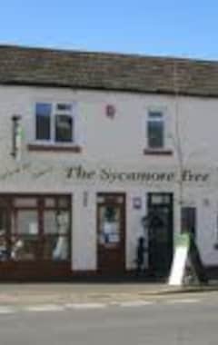 Hotelli The Sycamore Tree (Longtown, Iso-Britannia)