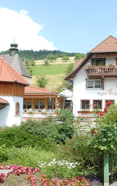 Hotelli Ludinmühle (Freiamt, Saksa)