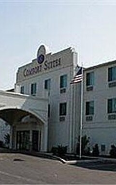 Hotel Comfort Suites Benton Harbor - St. Joseph (Benton Harbor, EE. UU.)