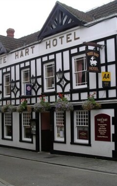 Hotelli White Hart Inn (Wells, Iso-Britannia)