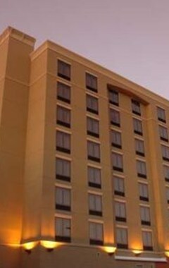 Hotel Hilton Garden Inn Jacksonville Downtown Southbank (Jacksonville, USA)