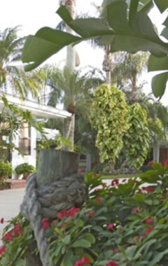 Hotel Captiva Beach Resort (Sarasota, EE. UU.)