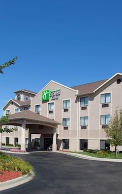 Holiday Inn Express Hotel & Suites - Belleville Area, an IHG Hotel (Belleville, EE. UU.)