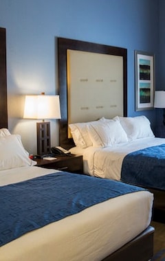 Hotelli Holiday Inn Express and Suites Edwardsville, an IHG Hotel (Edwardsville, Amerikan Yhdysvallat)