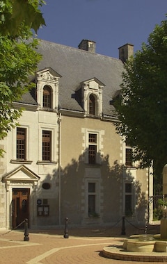 Hotel Château de la Ménaudière (Chissay-en-Touraine, Frankrig)