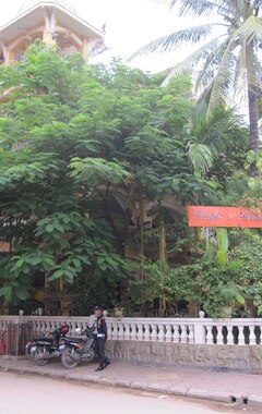Hotel Terrasse des Elephants (Siem Reap, Camboya)