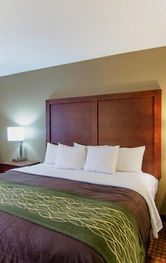 Hotel Days Inn Apex/Raleigh South (Apex, USA)