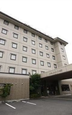 Hotel Route-Inn Iida (Iida, Japan)