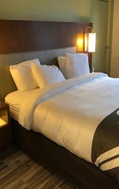 Hotel Quality Inn & Suites (Orlando, USA)
