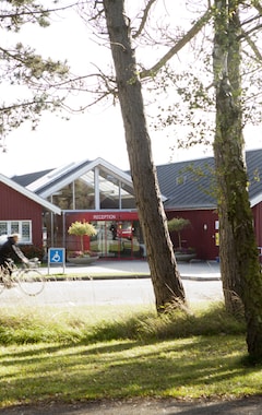 Hostel / vandrehjem Danhostel Ishøj Strand Vandrerhjem (Ishøj, Danmark)