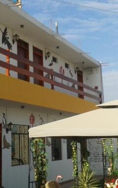 Hostelli Hostal El Sueno De San Martin (Paracas, Peru)