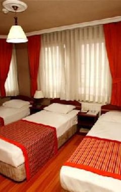 Hotel Akcinar (Istanbul, Tyrkiet)