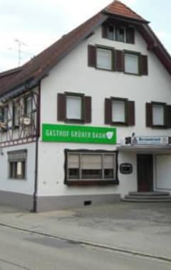 Hotelli Gasthof Grüner Baum (Meersburg, Saksa)