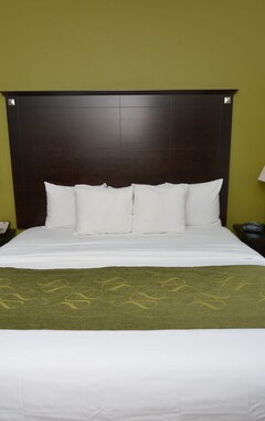 Hotelli Comfort Suites Lake City (Lake City, Amerikan Yhdysvallat)