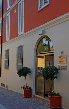 Hotel dei Tigli (Angera, Italia)