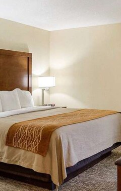 Hotel Comfort Inn (Olive Branch, USA)