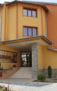 Hotel Alexander (Pavel Banya, Bulgaria)