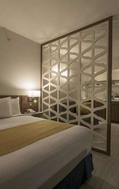 Hotel Microtel Inn & Suites by Wyndham San Luis Potosi (San Luis Potosi, México)