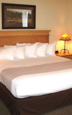 Hotel Best Western Black Hills Lodge (Spearfish, USA)