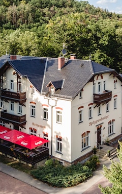 Hotelli Historische Spitzgrundmuhle (Coswig, Saksa)