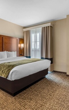 Hotel Comfort Suites Denver Near Anschutz Medical Campus (Aurora, EE. UU.)