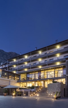 Hotel Domotel Anemolia Mountain Resort (Arachova, Grecia)