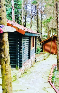Hotelli Ağva Orman Evleri Forest Lodge (Ağva, Turkki)
