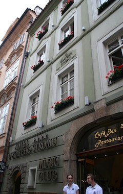 Hotel U Zlateho Stromu Prague By Bhg (Prag, Tjekkiet)
