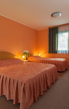Sava Hotels & Resorts - Terme Ptuj (Ptuj, Eslovenia)