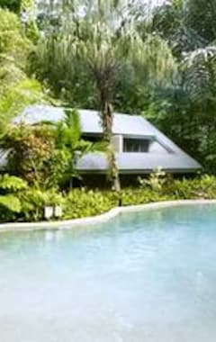 Hotel Ferntree Rainforest Lodge (Cape Tribulation, Australia)