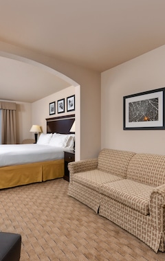 Holiday Inn Express & Suites Albuquerque Historic Old Town, An Ihg Hotel (Albuquerque, EE. UU.)