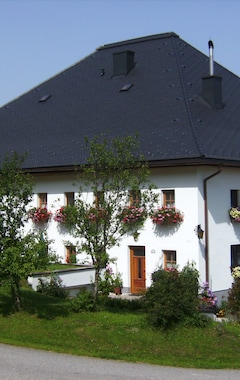 Hotelli Feichtinger (Steinbach am Attersee, Itävalta)