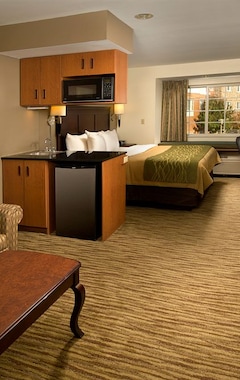 Hotel Comfort Inn & Suites Airport Dulles-Gateway (Sterling, EE. UU.)