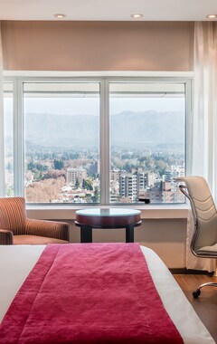 Hotel Diplomatic (Mendoza Capital, Argentina)