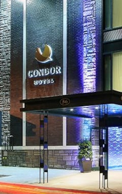 Condor Hotel by LuxUrban (Brooklyn, USA)