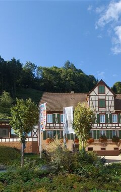 Hotelli Hotel Gasthof zum weyssen Rössle (Schiltach, Saksa)