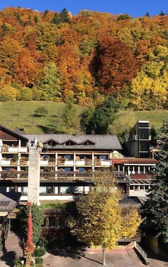 Hotelli Aktiv & Spa Hotel Alpenrose (Schruns, Itävalta)