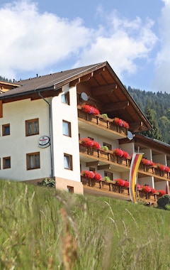 Hotelli Alpenhof Strenge (Birnbaum, Itävalta)