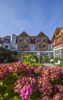 Hotel Krone Schnetzenhausen (Friedrichshafen, Alemania)