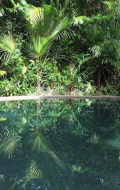 Hotelli Daintree Rainforest Retreat (Port Douglas, Australia)