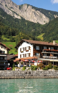 Hotel Brienzerburli (Brienz, Suiza)