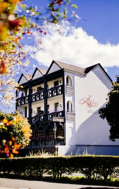 Hotelli Altes Winzerhaus (Cochem, Saksa)