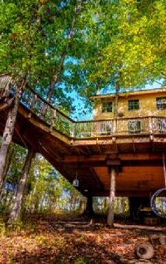 Casa/apartamento entero Pete Nelson -TreeHouse- El Kentucky escaladores Cottage se muestra en Animal Planet (Brooksville, EE. UU.)