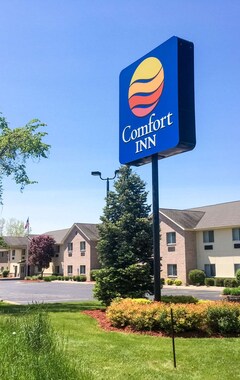 Hotel Comfort Inn & Suites (Paw Paw, EE. UU.)