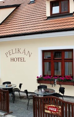 Hotel Pelican (Treboň, República Checa)