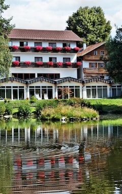Hotel Zum Hirschen (Lam, Tyskland)