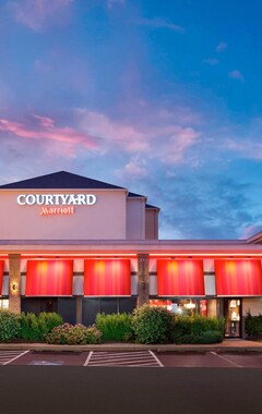 Hotel Courtyard Chicago Midway Airport (Bedford Park, USA)